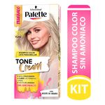 palette-tone-cream-dtubo-310-plata