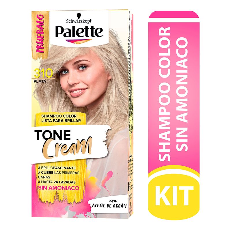 palette-tone-cream-dtubo-310-plata
