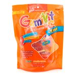 gomas-gumivit-czinc-bolsa-6-sbs-minipac