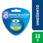 vick-vaporub-vapocheckut-pote-12-gr