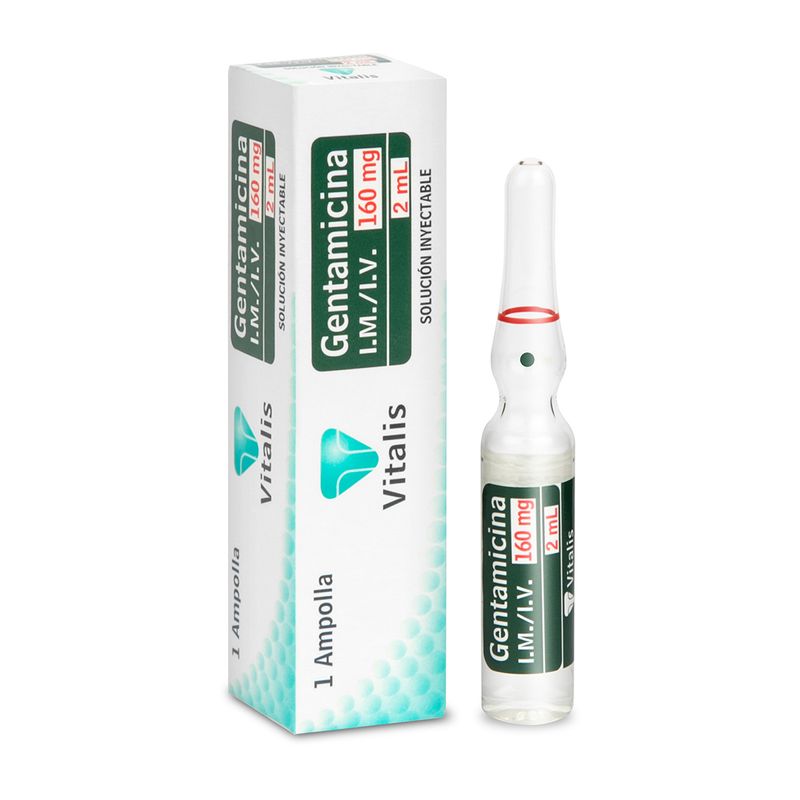 gentamicina-160mg2ml-1-ampolla-vt