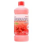 hidrasol-45-con-zinc-cereza-500ml-icom