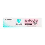 amikacina-100mg2-ml-c1-vcm-vt