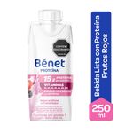 bebida-benet-frutos-rojos-250ml