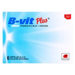b-vit-plus-6-ampollas