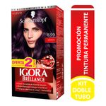 igora-brillance-dt-699-amatista